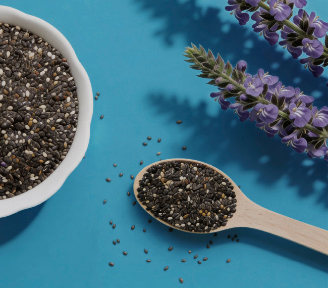 Graines de chia